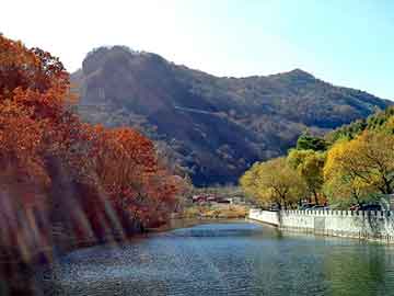 交通路测 第1125页