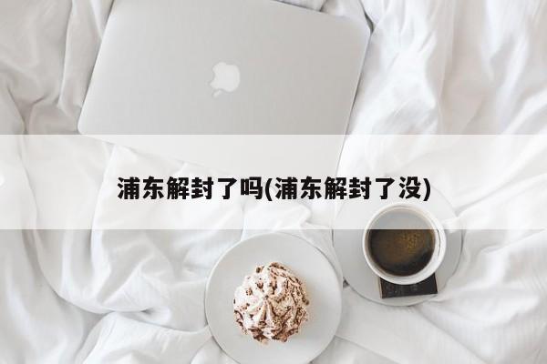 浦东解封了吗(浦东解封了没)