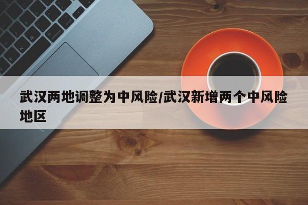 武汉两地调整为中风险/武汉新增两个中风险地区