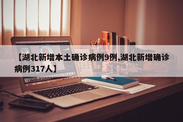【湖北新增本土确诊病例9例,湖北新增确诊病例317人】