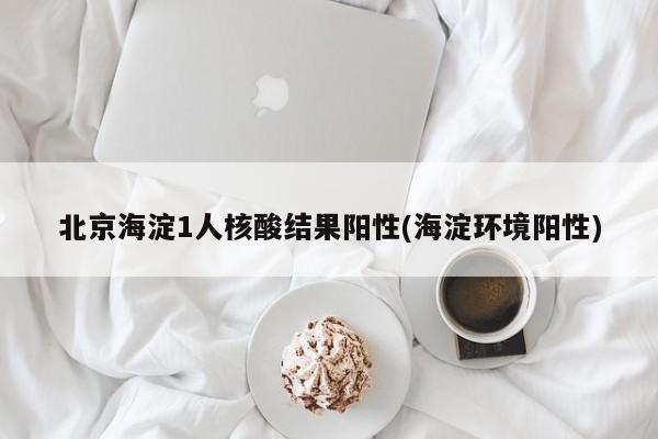 北京海淀1人核酸结果阳性(海淀环境阳性)