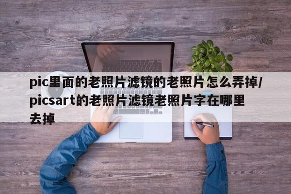 pic里面的老照片滤镜的老照片怎么弄掉/picsart的老照片滤镜老照片字在哪里去掉