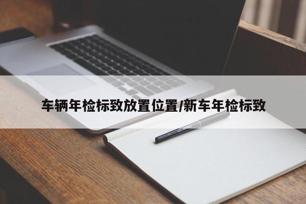 车辆年检标致放置位置/新车年检标致