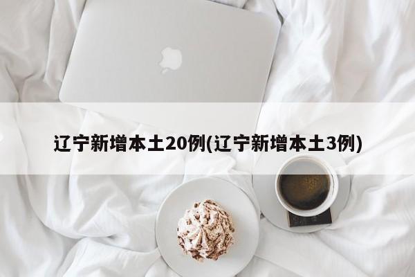 辽宁新增本土20例(辽宁新增本土3例)